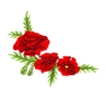 Poppy Corner