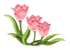 Tulip Corner