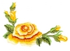 Rose Corner