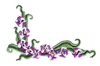 Small Orchid Corner
