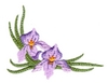 Small Iris Corner