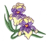 Large Iris Corner