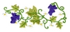 "Flower Garland Grapevine, Large"