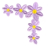 Daisy Corner