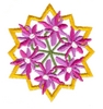 Lily Circle