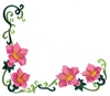Flowers and Vine