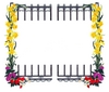 Daffodil Border with Fence