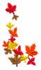 Maple Leaf Corner