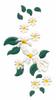 Daisy Band