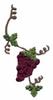 Red Grape Vine