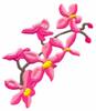 Cherry Blossom Branch