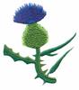 Single Thistle