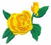 Open and Closed Roses
