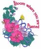 Bloom Where You Are Planted