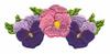 Pansy Arc Three Flower