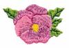 Single Pansy #1