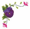 Pansy Corner
