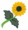 Stemmed Sunflower