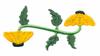 Double Sunflower Stem