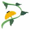 Fancy Sunflower Single