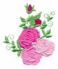 Roses and Buds