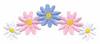 Five Daisies in a Row