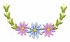 Daisy Scallop # 1