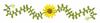 Delicate Daisy Border Small
