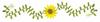 Delicate Daisy Border Large