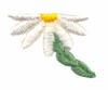 Single Daisy Chain # 2