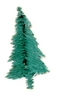 Little pointy pine