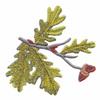 Maryland State Tree - White Oak