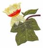 Tennessee State Tree - Yellow Poplar