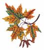 Vermont State Tree - Sugar Maple