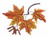 Wisconsin State Tree - Sugar Maple