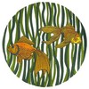 Goldfish Circle (Square Hoop)