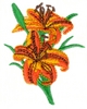 Tiger Lilies