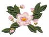 Blossom, Leaves and Buds