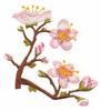 Blossoms on Branches