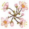 Spiral Blossoms