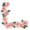 Blossom Corner