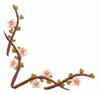 Blossom Branch Corner