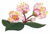 Blossom Trio