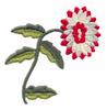 Single Dahlia