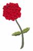 Single Stem Dahlia