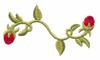 Dahlia Vine and Buds