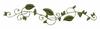 Leafy Vine
