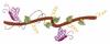 Leafy Vine and Branch # 2