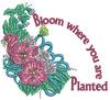 Bloom Where You Are Planted