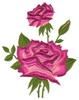 Roses (Square Hoop)